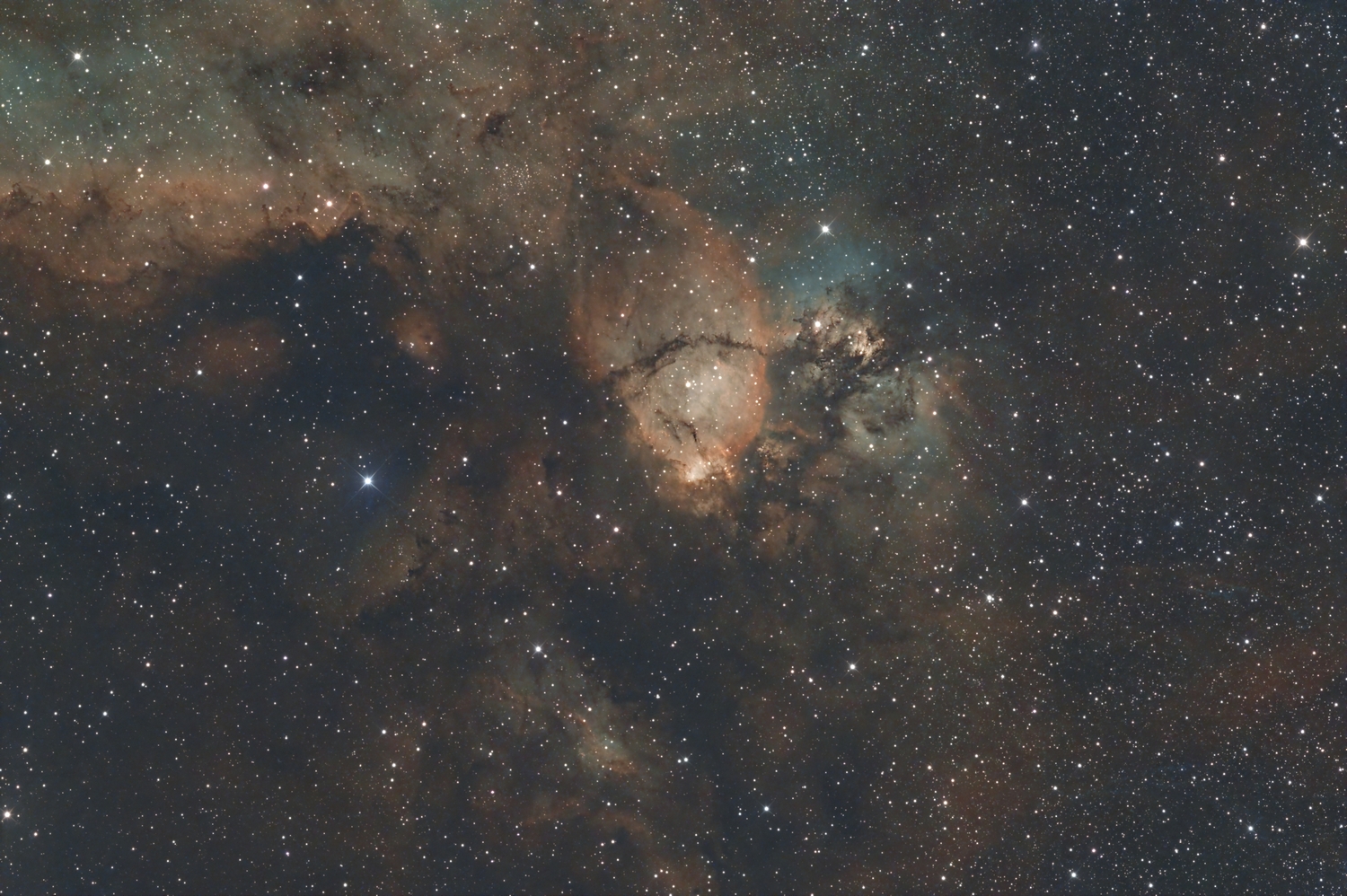 fish head nebula